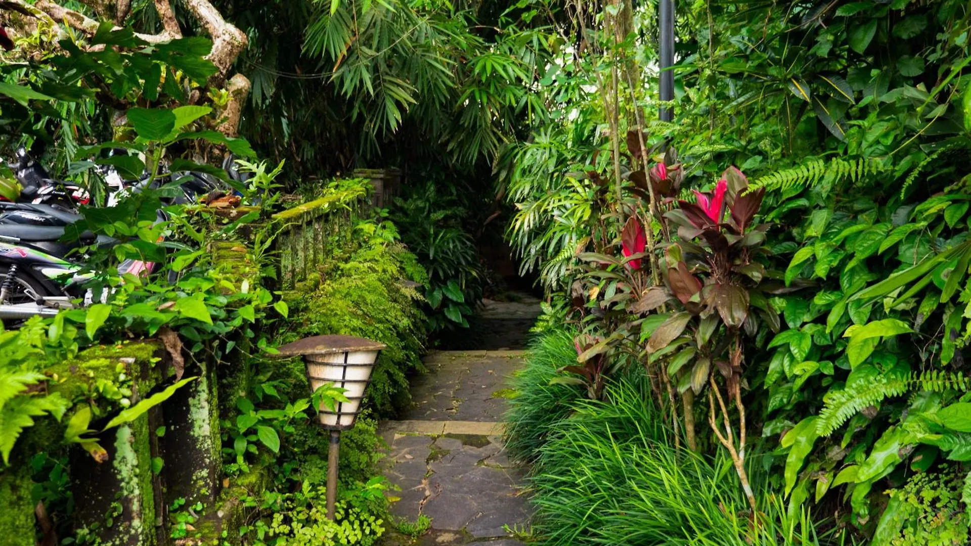 River Song Bali Ubud Indonésie
