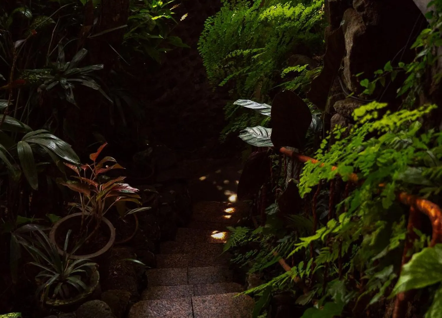 River Song Bali Ubud  Homestay