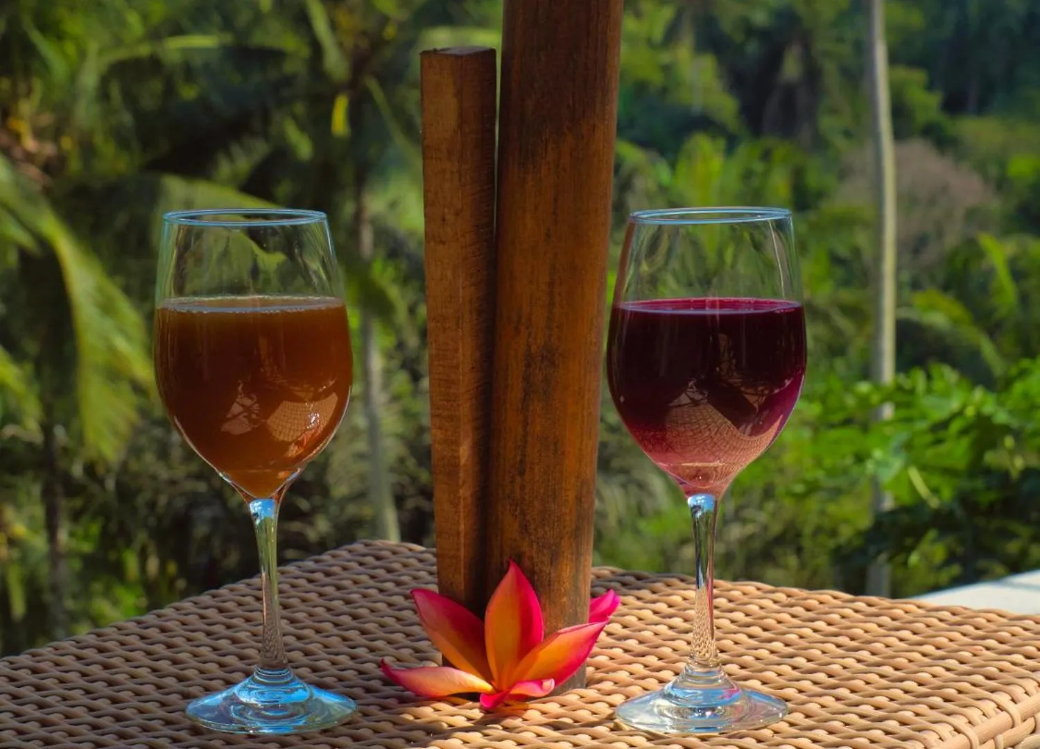 Homestay River Song Bali Ubud