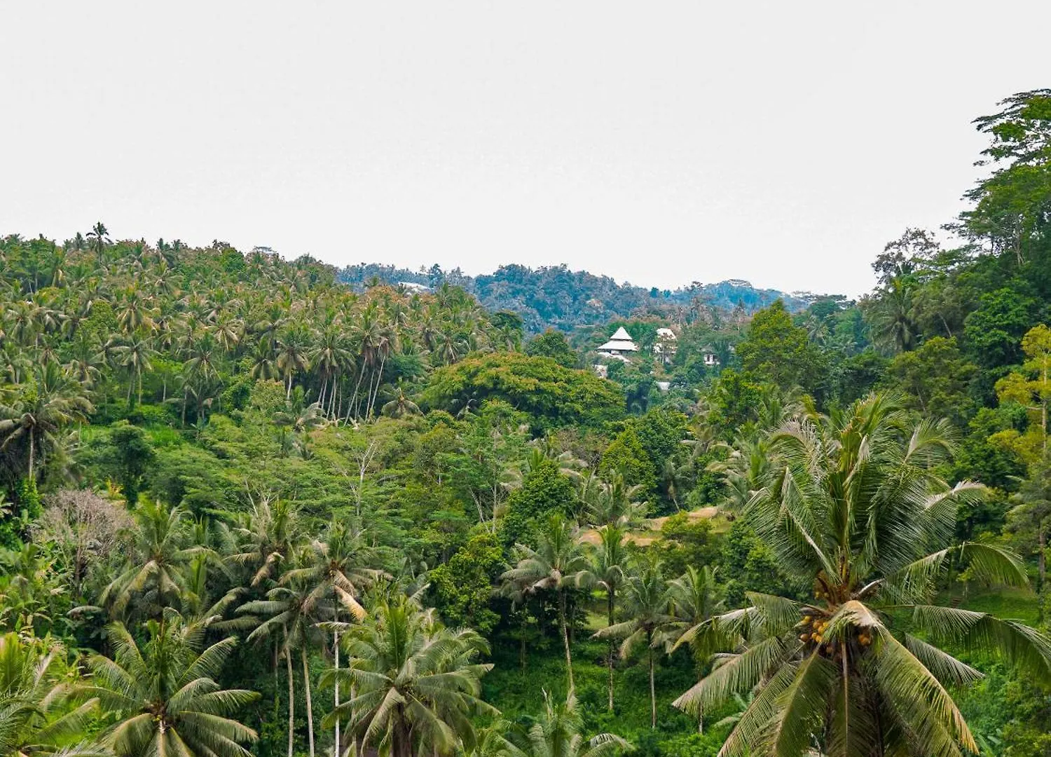 River Song Bali Ubud  Indonesia