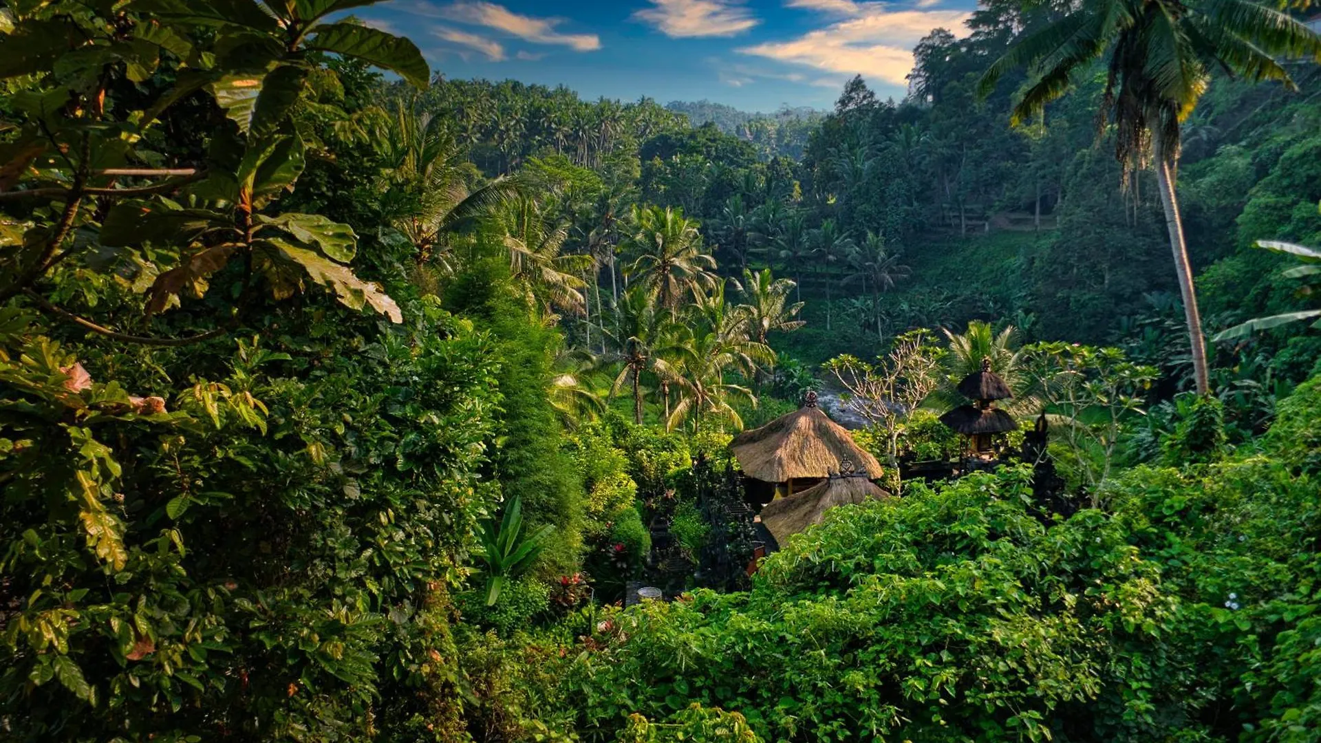 River Song Bali Ubud  Indonesia