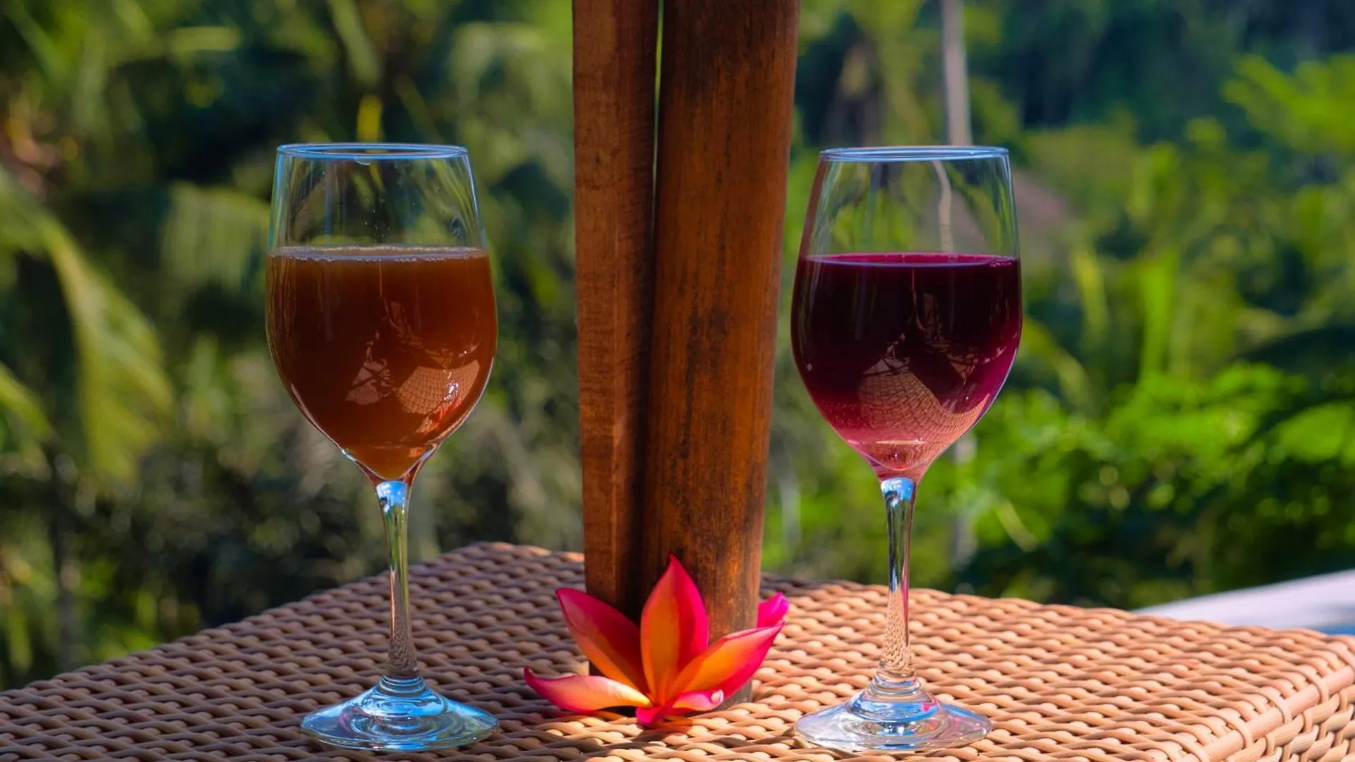 Homestay River Song Bali Ubud