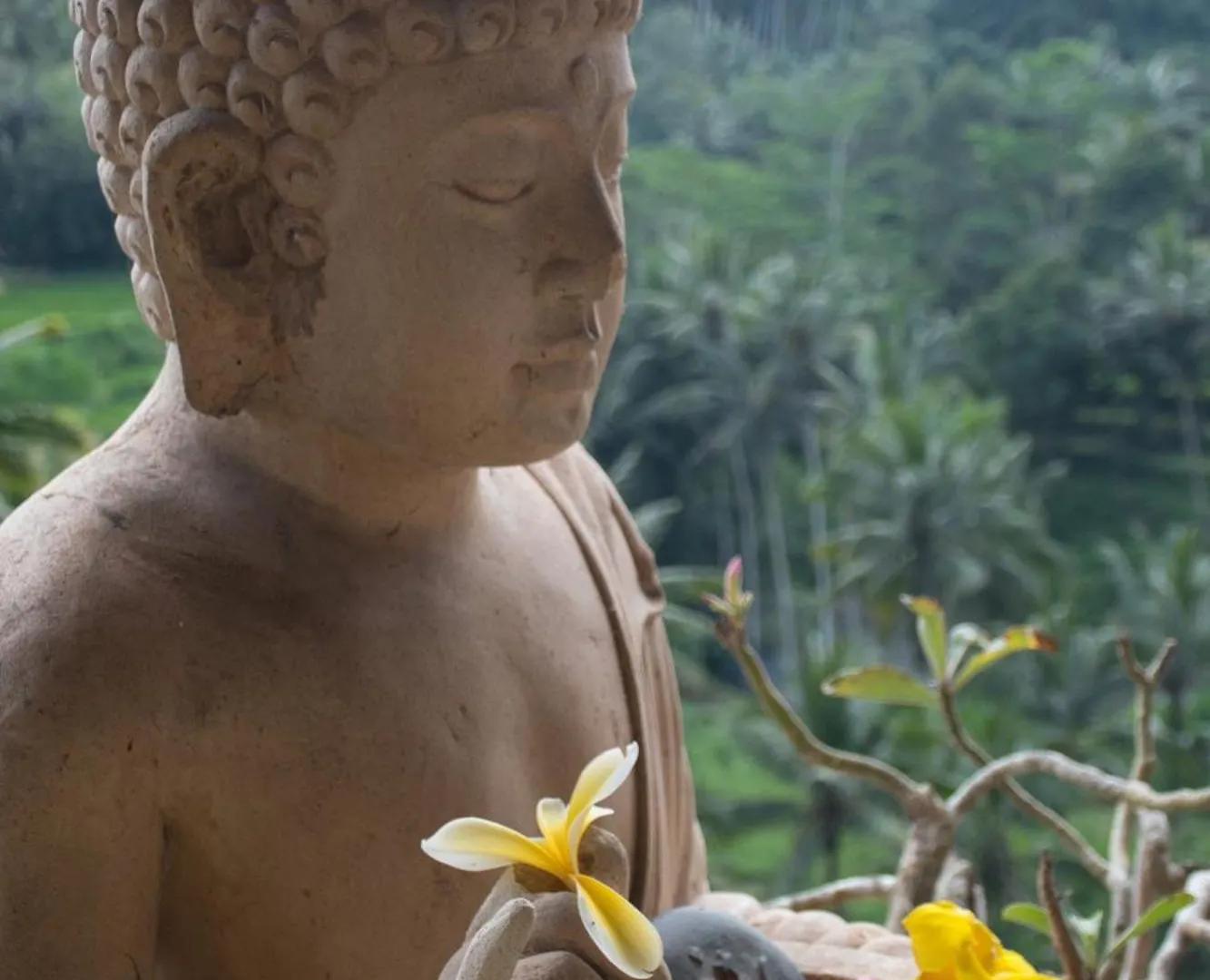 Homestay River Song Bali Ubud